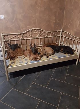 N'SULTAN ET N'BELLA